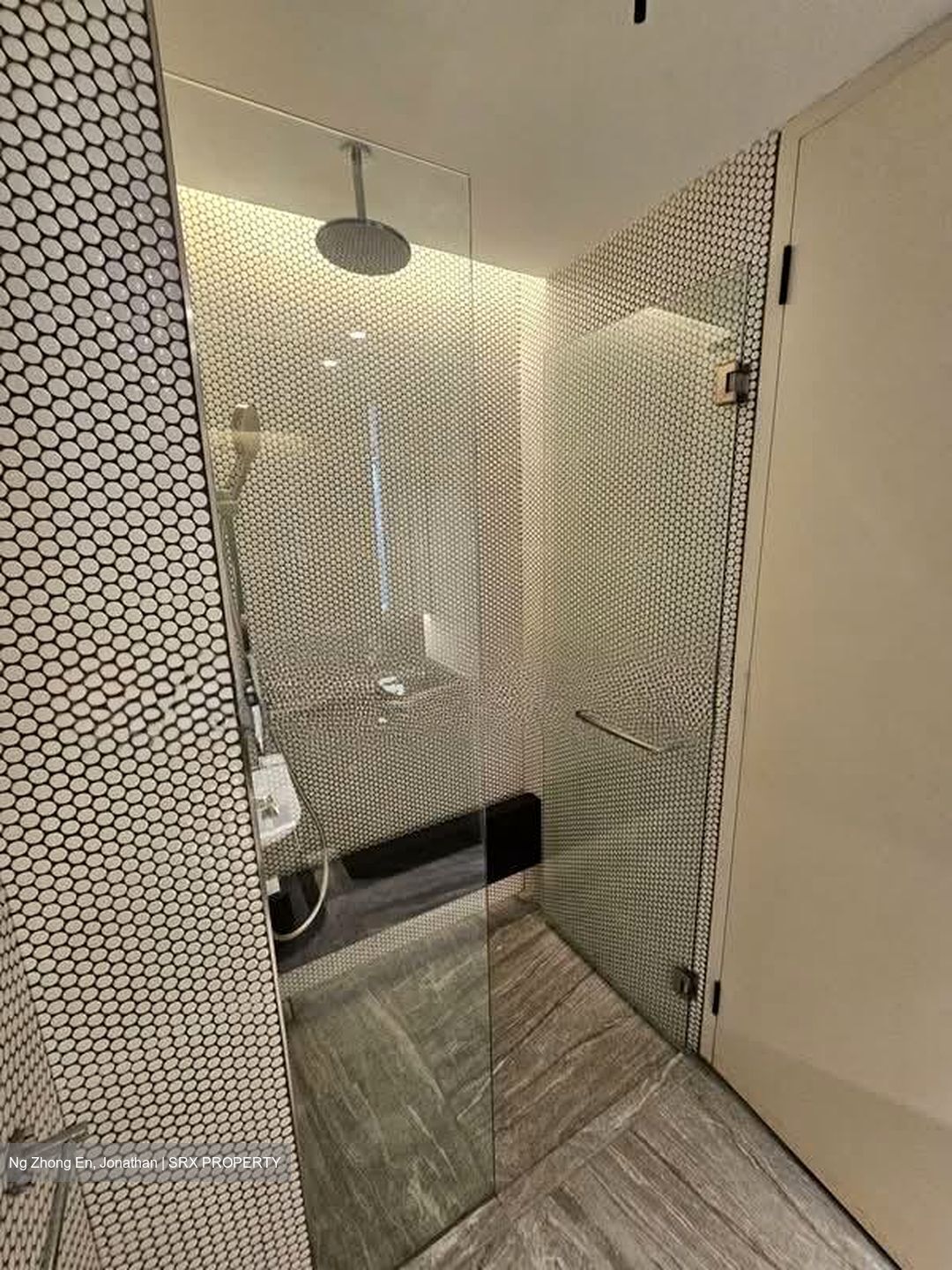 10 Evelyn (D11), Apartment #538571571